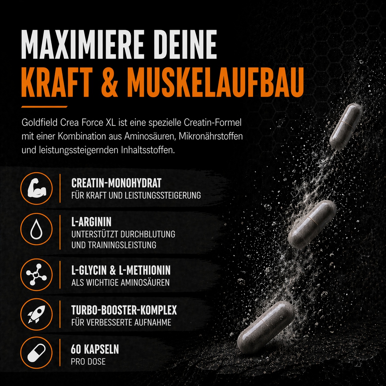 Goldfield Crea Force XL – Creatin Booster für Kraft & Leistung (60 Kapseln)