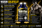 Goldfield MSM Plus – Gelenk & Knorpel Support mit MSM (60 Kapseln)