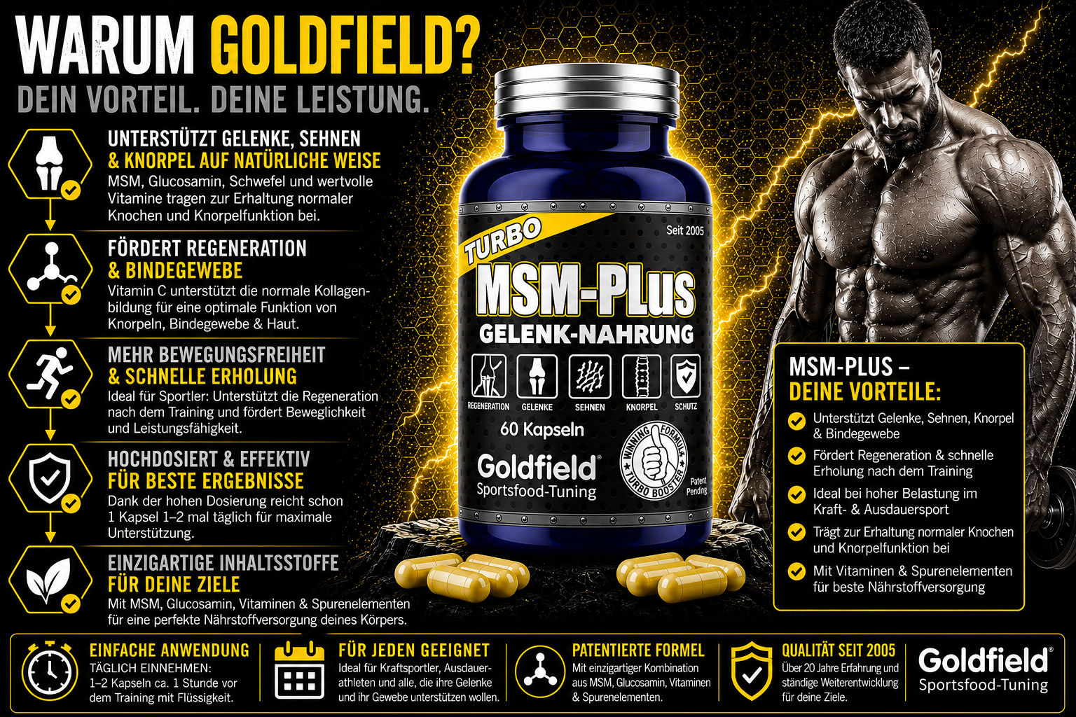 Goldfield MSM Plus – Gelenk & Knorpel Support mit MSM (60 Kapseln)