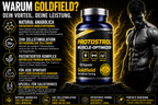 Goldfield Protostrol – Natural Anabolic Muscle Booster (60 Kapseln)